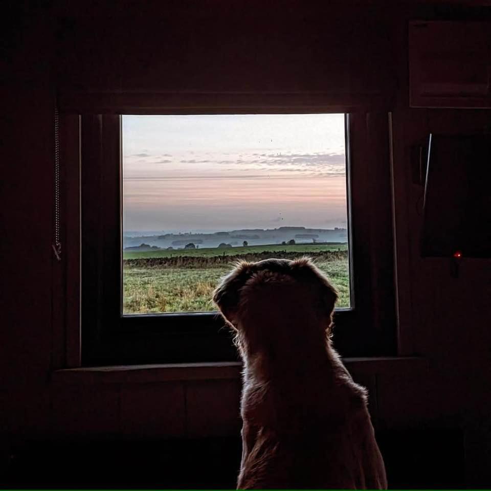 Luxury Shepherd Hut In The Peak District Bakewell Exteriör bild
